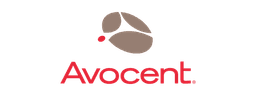 Avocent
