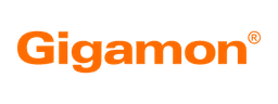 Gigamon