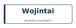 Логотип Wojintai