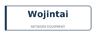 Логотип Wojintai